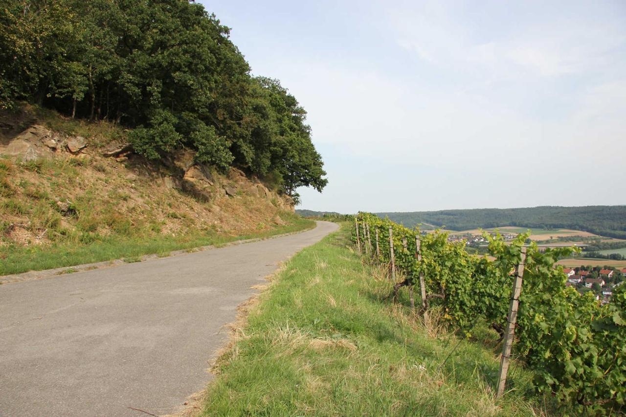 Weinlodge Am Geissberg Eberstadt Exterior photo